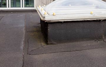 disadvantages of Tyntetown flat roofs