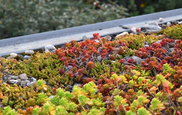the cost of Tyntetown green roof installation