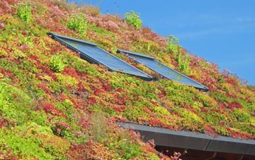 Tyntetown living roof systems