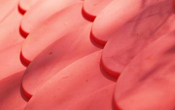 Tyntetown plastic roof costs