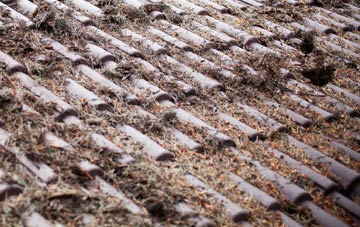 Tyntetown roof cleaning companies