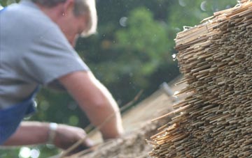 professional Tyntetown thatchers