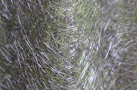 Tyntetown fibreglass roof work